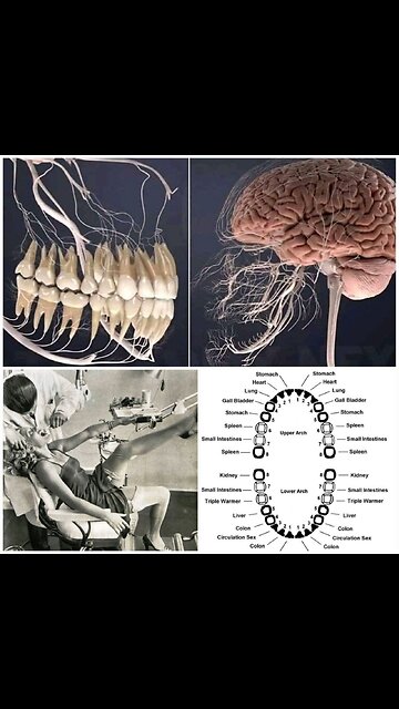An easy trick to know if your olive oil is actually real 👆