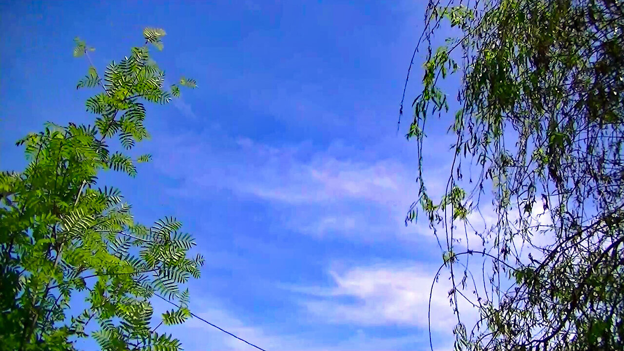 IECV TLV #45 - 👀 Time Lapse Of Sky And Trees Blowing In The Wind 6-9-2019