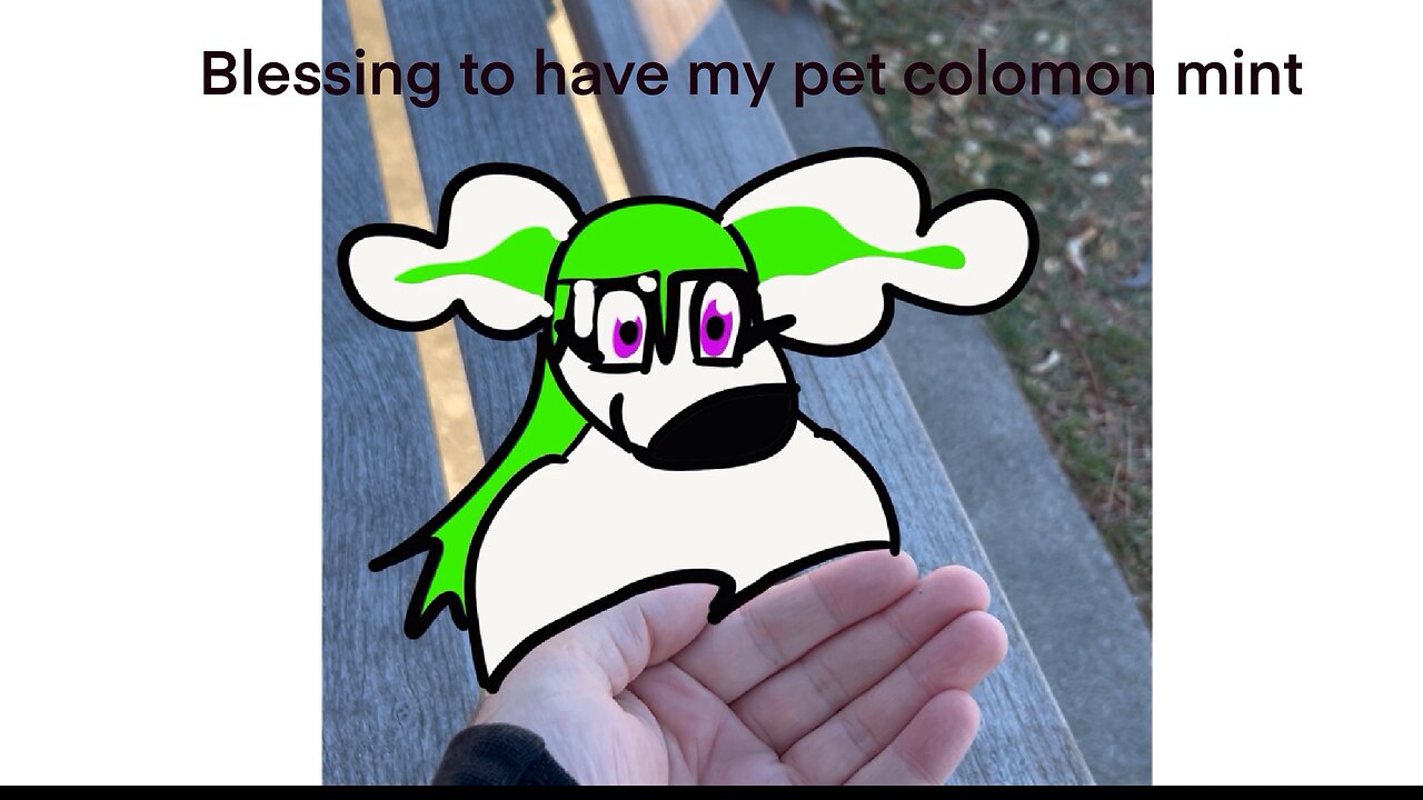 My blessing pet colomon mint