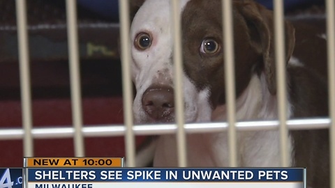 MADACC policy prohibits pets as gifts unless recipient knows