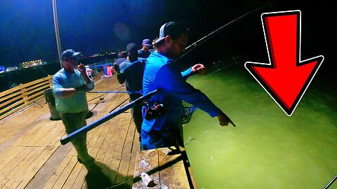 Fishing For Big Fish From the Pier | Is the Run is About to Start ?