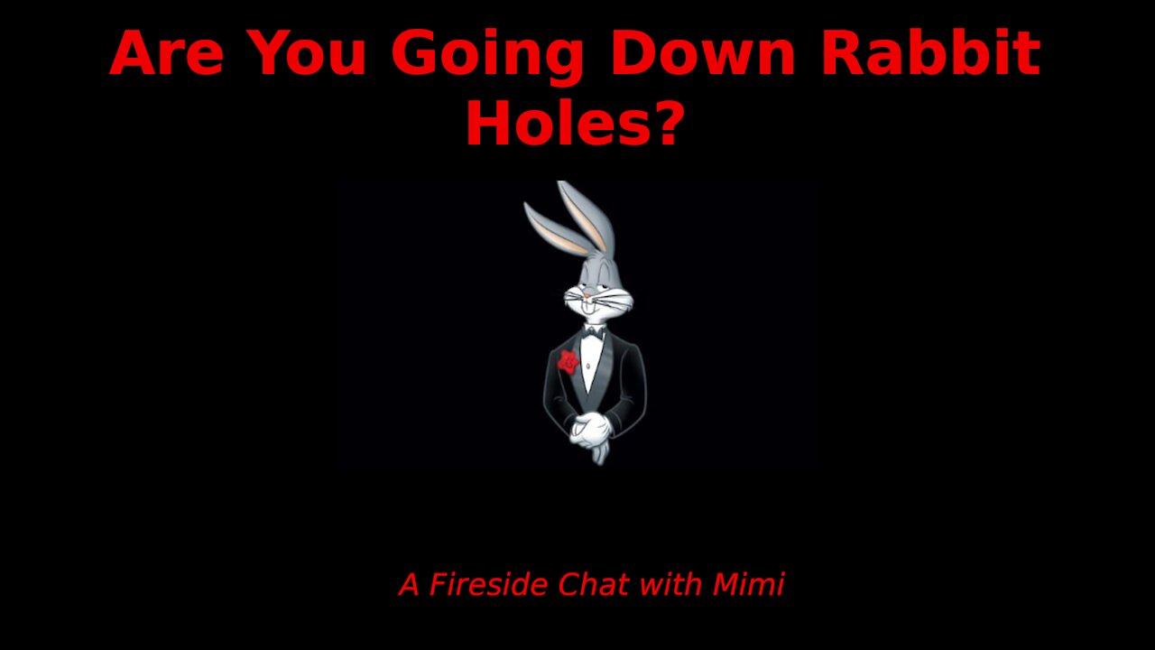 A Fireside Chat with Mimi - Human Beings Make Rabbit Holes