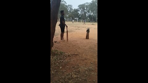 #cricket