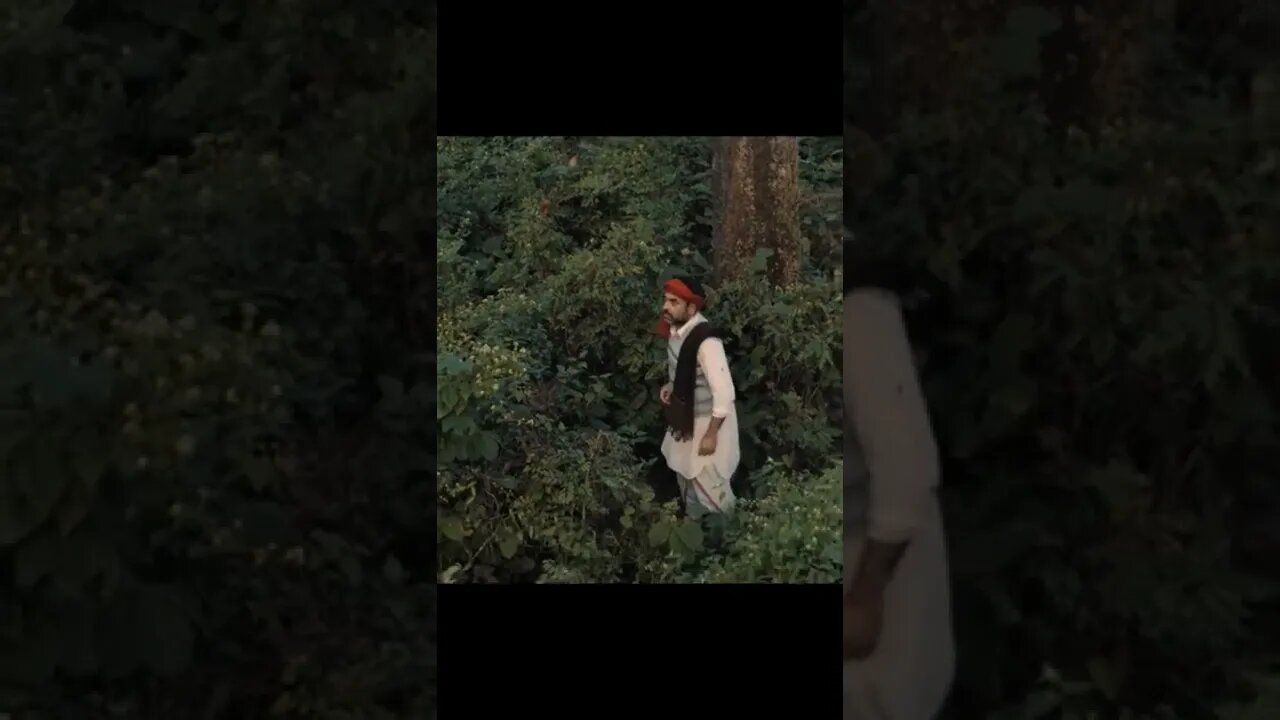 Sherdil- The Pilibhit Saga - 'Dhoop Paani Bahne De' Song - KK, Gulzar Saab, Shantanu, Srijit.mp4