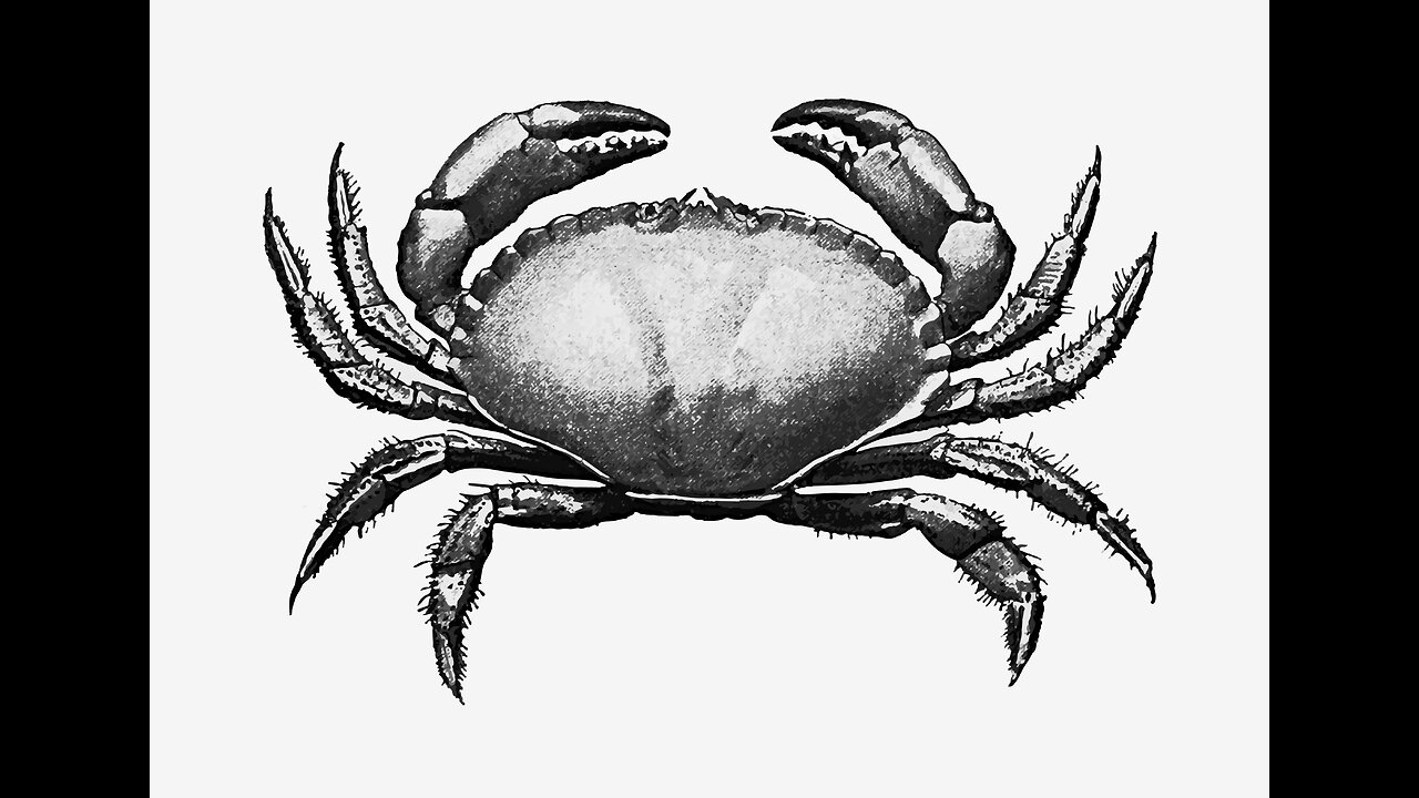 Crabs Have feelings too🦀