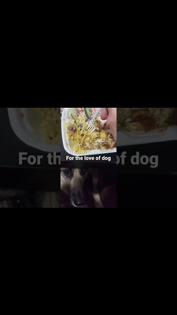 You Can't Always Get What You Want #shorts