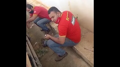 [ MEME ] TODA EMPRESA TEM UM PUXA SACO [ PUXA SACO ] [ VIRAL ]