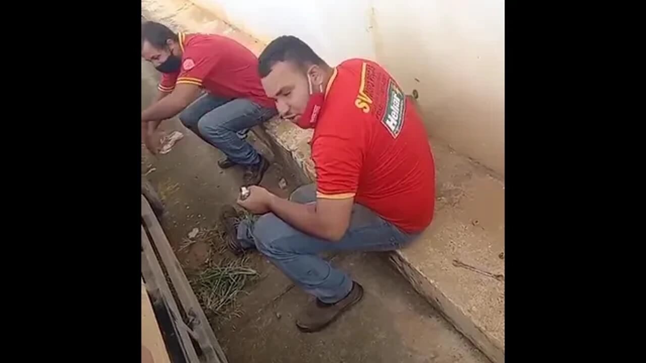 [ MEME ] TODA EMPRESA TEM UM PUXA SACO [ PUXA SACO ] [ VIRAL ]