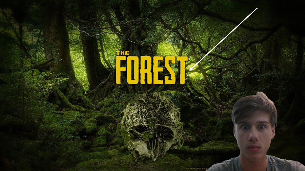 The Forest Gameplay Part 1