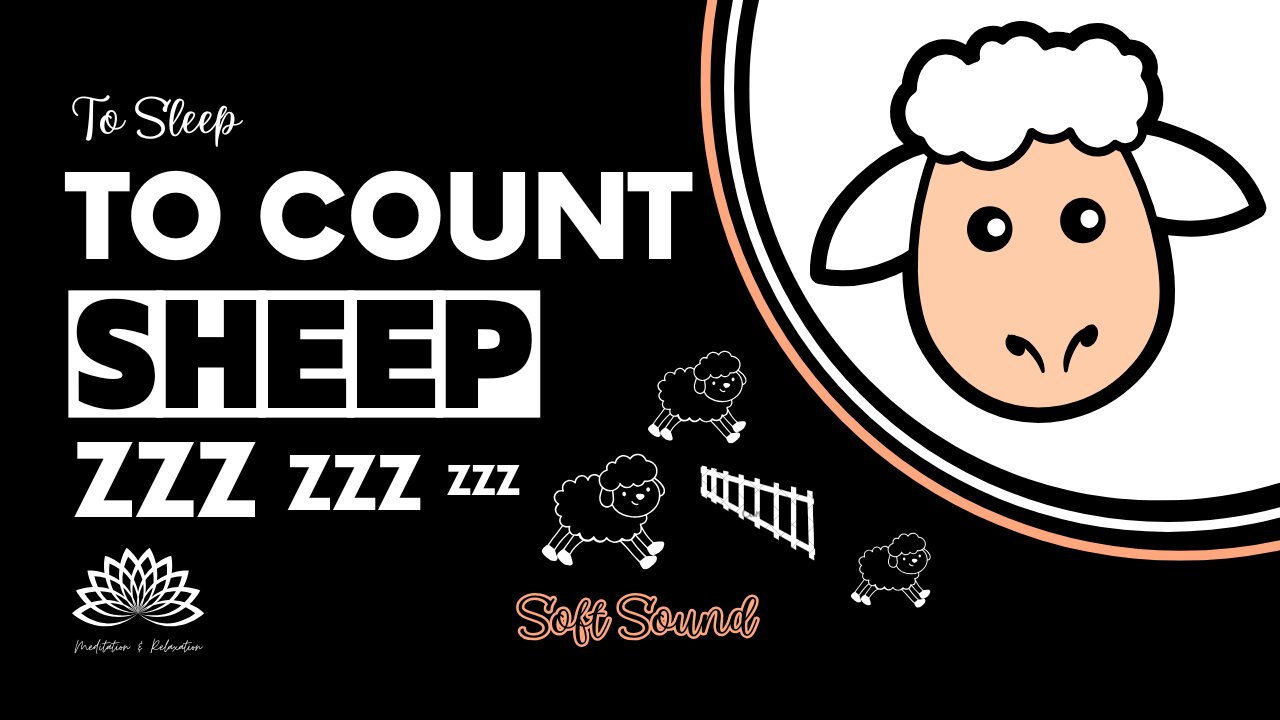 Let's Count Sheep 🐑 To Go To Sleep 😴