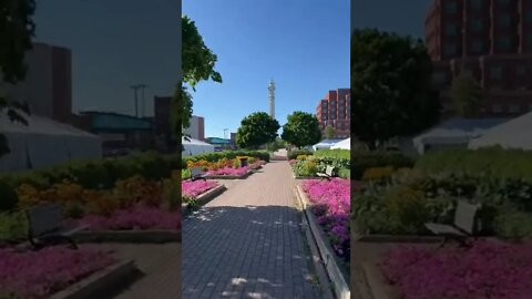 The tower in Downtown Moncton