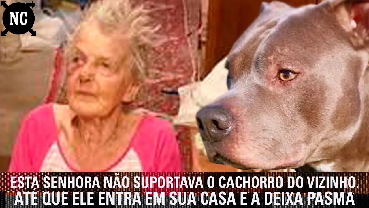 Esta senhora não suportava o cachorro do vizinho. Até que ele entra em sua casa e a deixa pasma