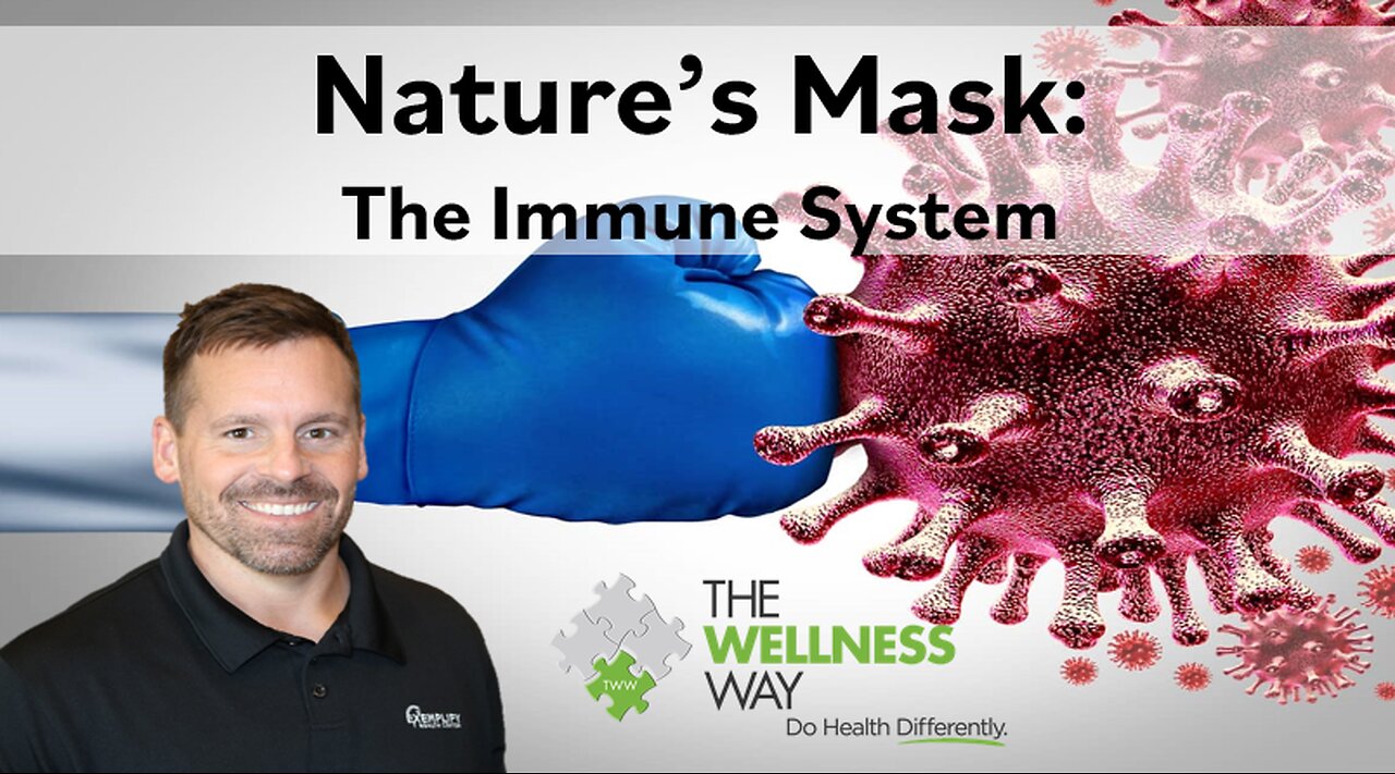 Here's How the Immune System Works