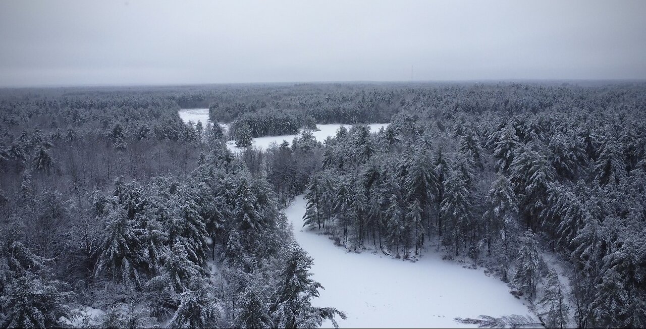 Northern Ontario above the forest floor