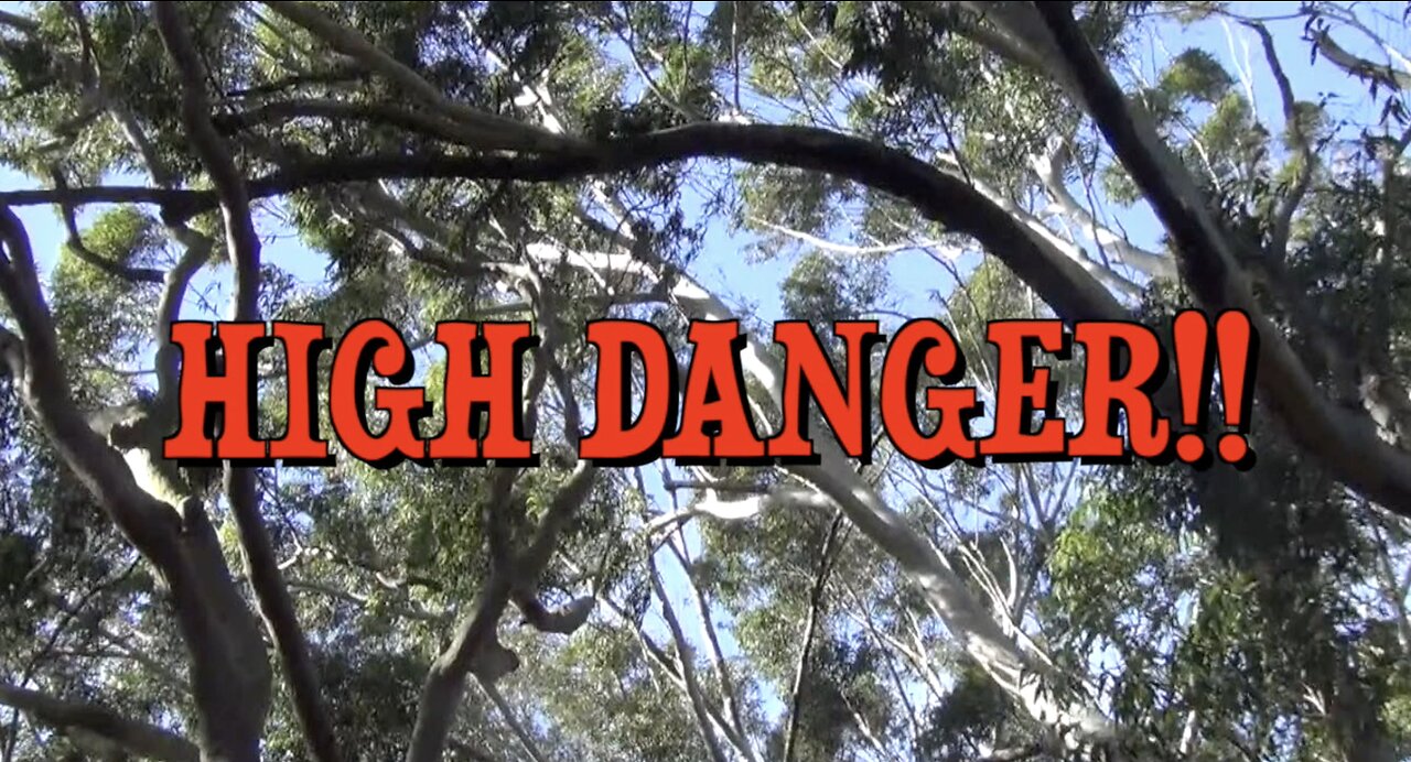 HIGH DANGER!!