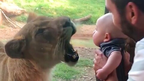 Imagine If There Was NO GLASS! Funny Babies At The Zoo 🐯🐶