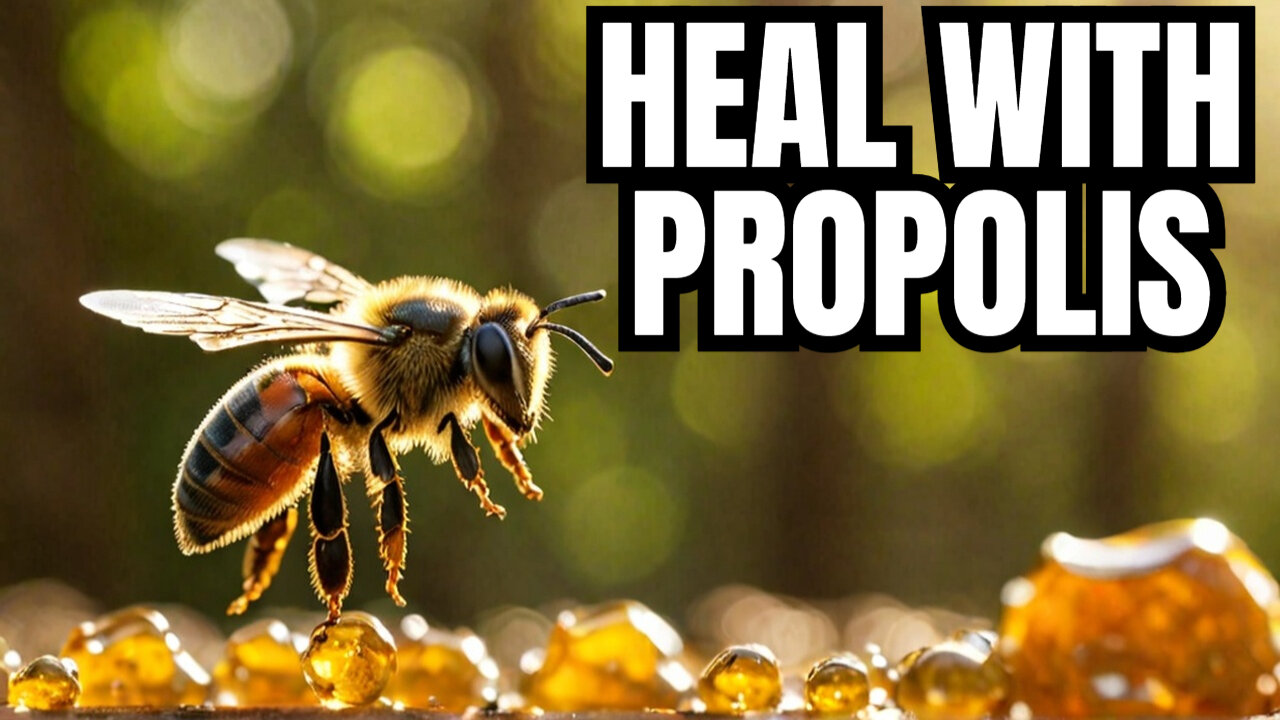 Want NATURAL Health Remedies? Discover the Power of Propolis