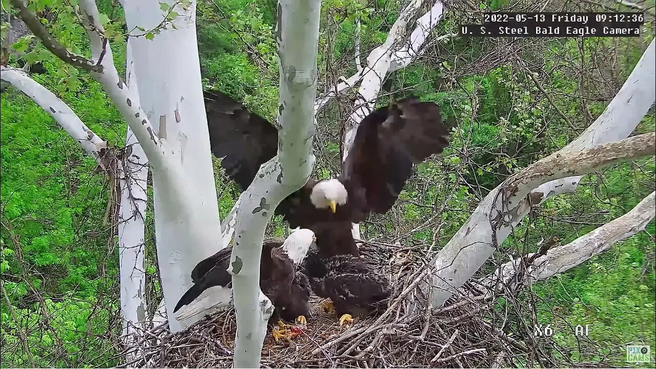 USS Eagles - Slow motion Mom fly-in