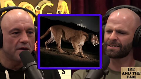 LA Serial K*ller Lion | Joe Rogan Experience