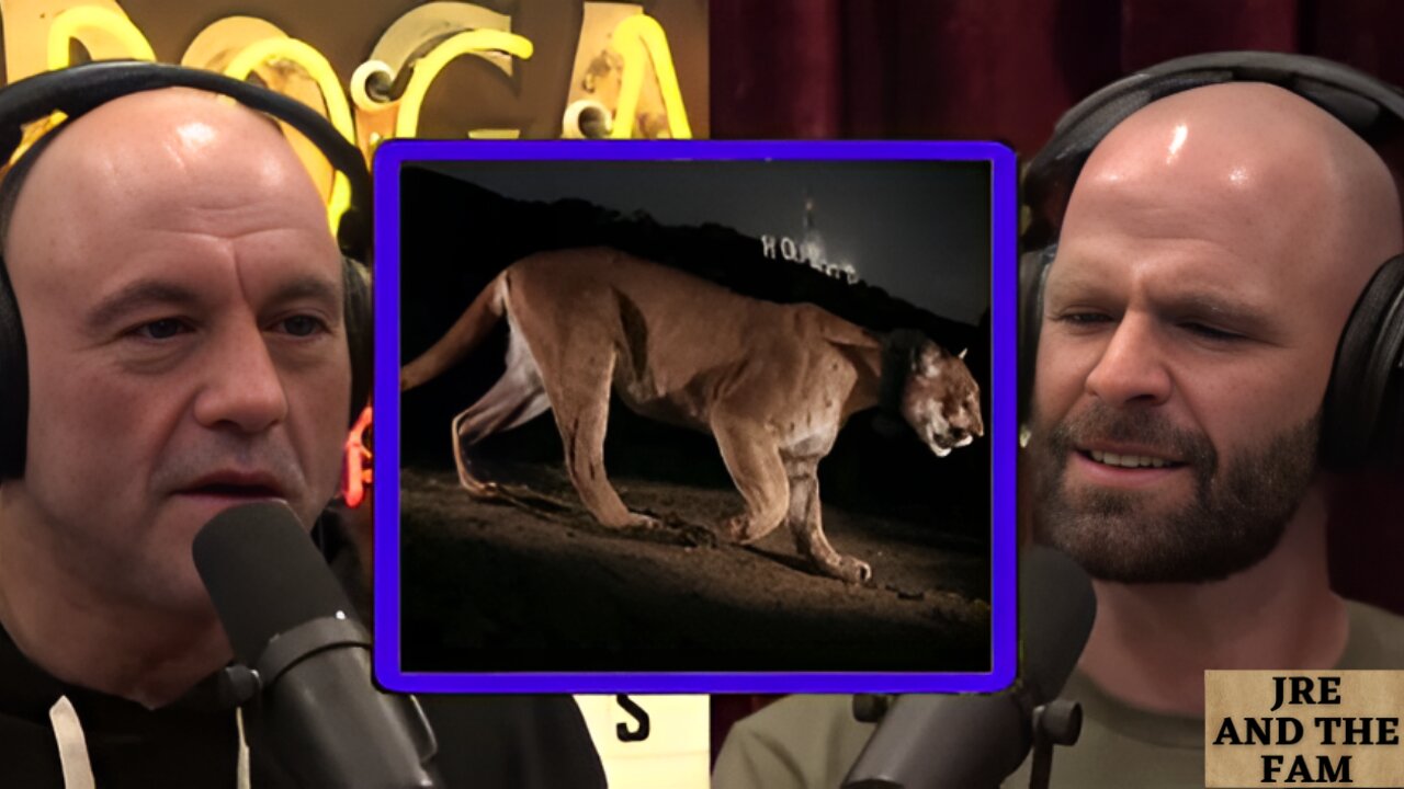 LA Serial K*ller Lion | Joe Rogan Experience