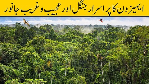 Wonders of Amazon Jungle _ Urdu_Hindi