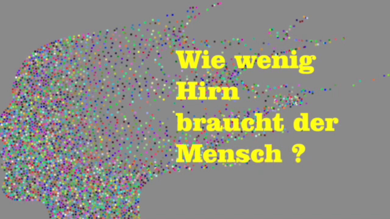 Wie wenig Gehirn braucht der Mensch?