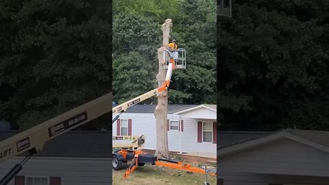 HELP! A Huge Tree is Going to Crush Our Single-Wide