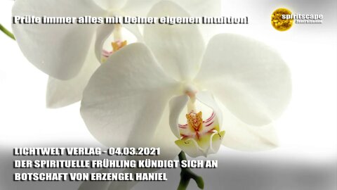 DER SPIRITUELLE FRÜHLING KÜNDIGT SICH AN - BOTSCHAFT VON ERZENGEL HANIEL - LWV