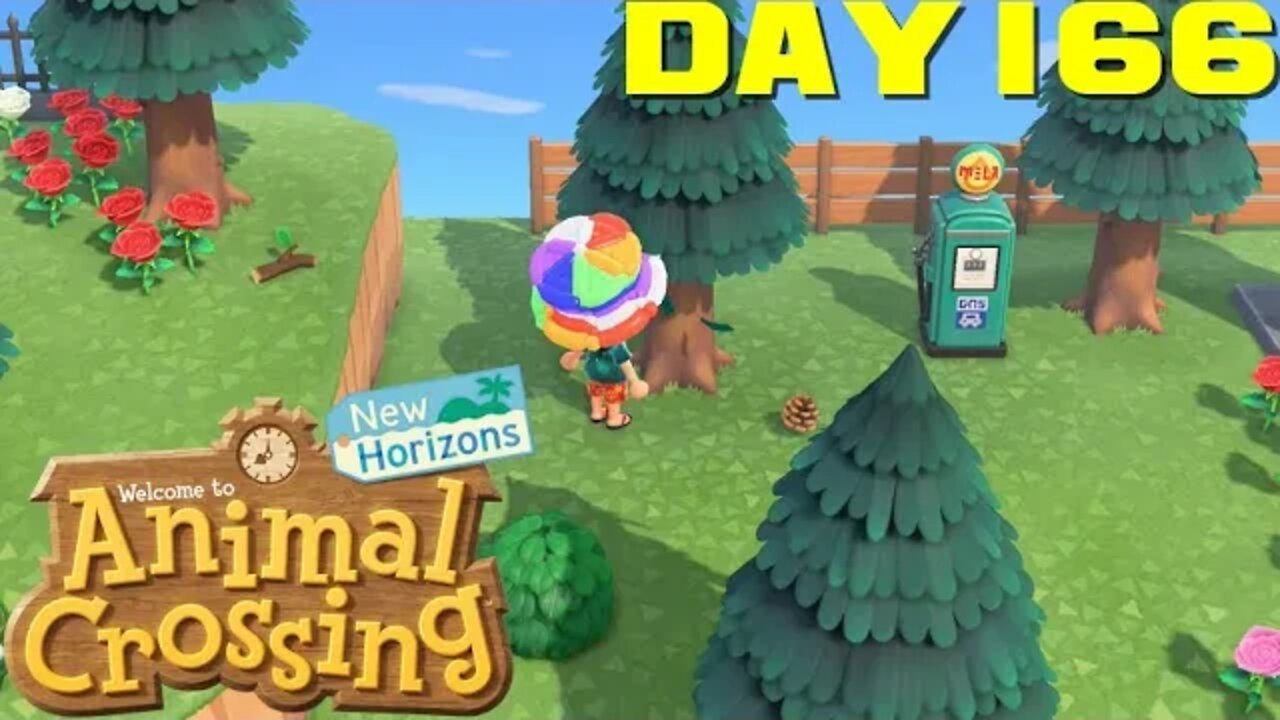 Animal Crossing: New Horizons Day 166 - Nintendo Switch Gameplay 😎Benjamillion