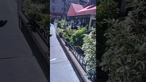 East 33rd Street and 3rd Avenue in New York City 2021.