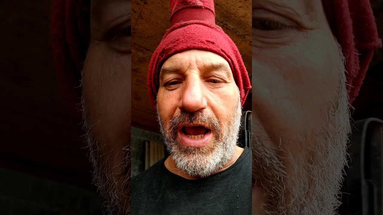 PROFANITY PRO FAN IT WHEN TO SAY AND WHY