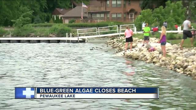 Possible blue-green algae could shut down Pewaukee beach and affect festivals