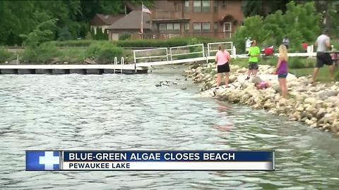 Possible blue-green algae could shut down Pewaukee beach and affect festivals