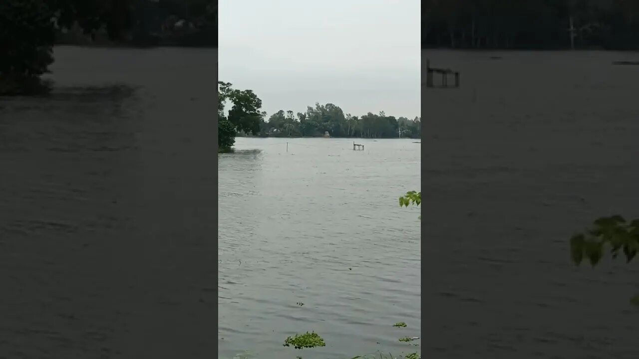 beautiful Bangladesh.... nice natural video.....new water in the village