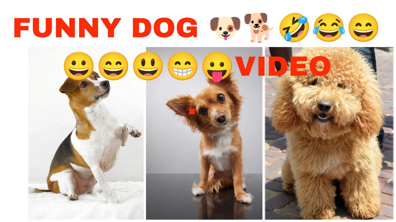 Amazing funny videos don't laugh