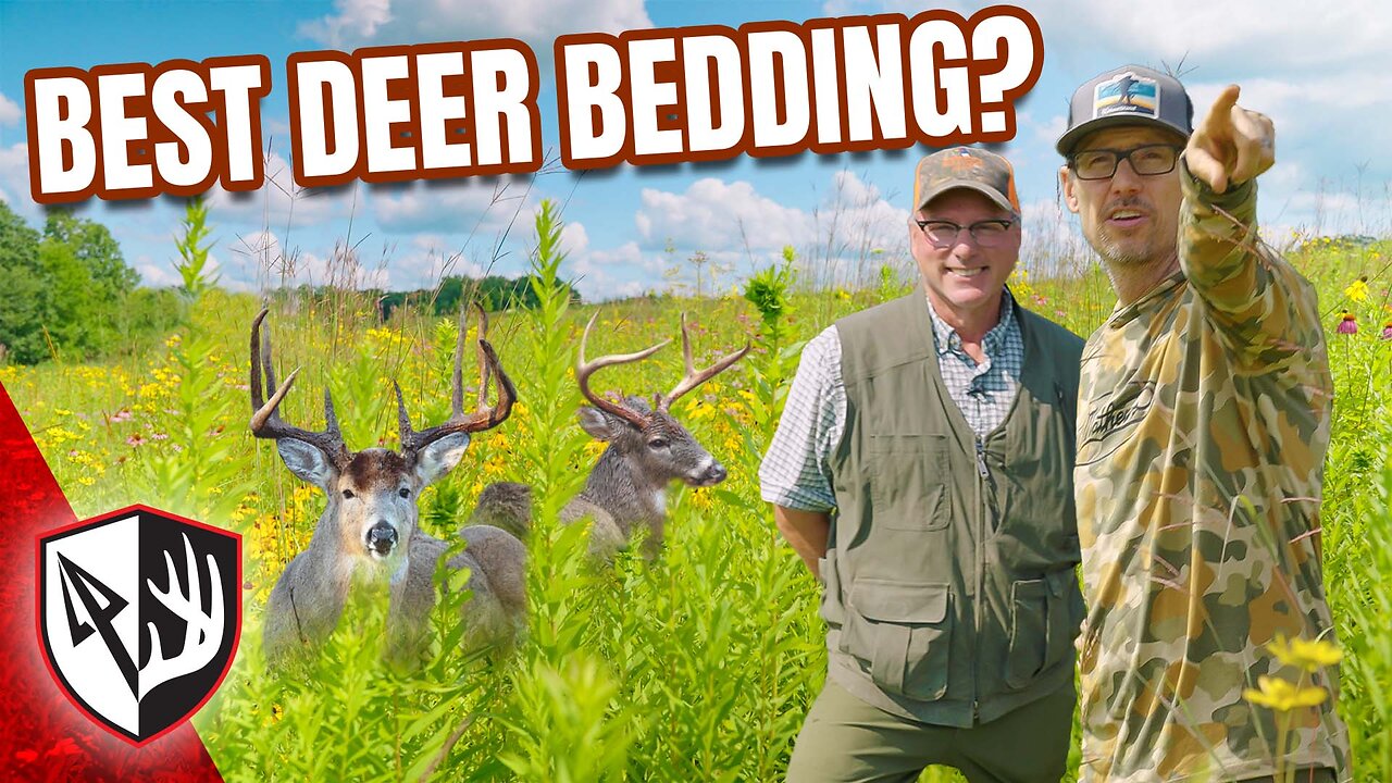 Is This The Best Deer Bedding?