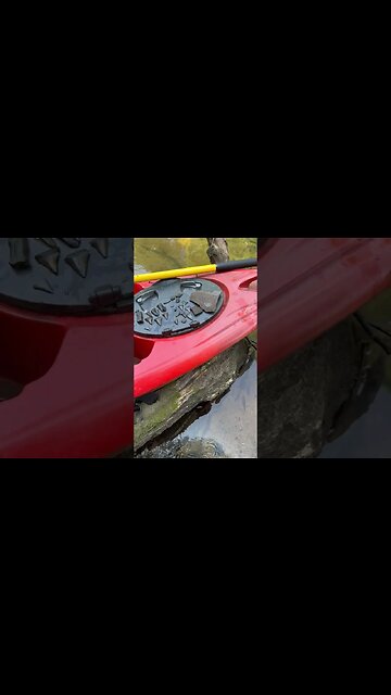 Shark teeth fossils 2 #coin #relic #warof1812 #coins #treasure #arrowhead #sharkteeth #crystal