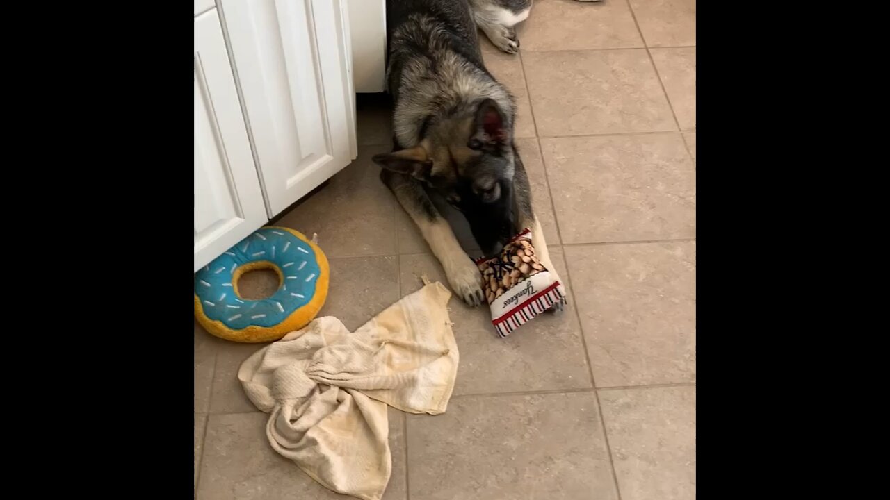 July 2021-September 2021