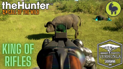 King of Rifles, Vurhonga Savanna | theHunter: Call of the Wild (PS5 4K)