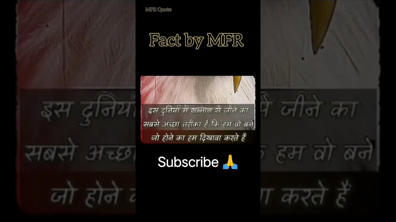 True Line ❤️