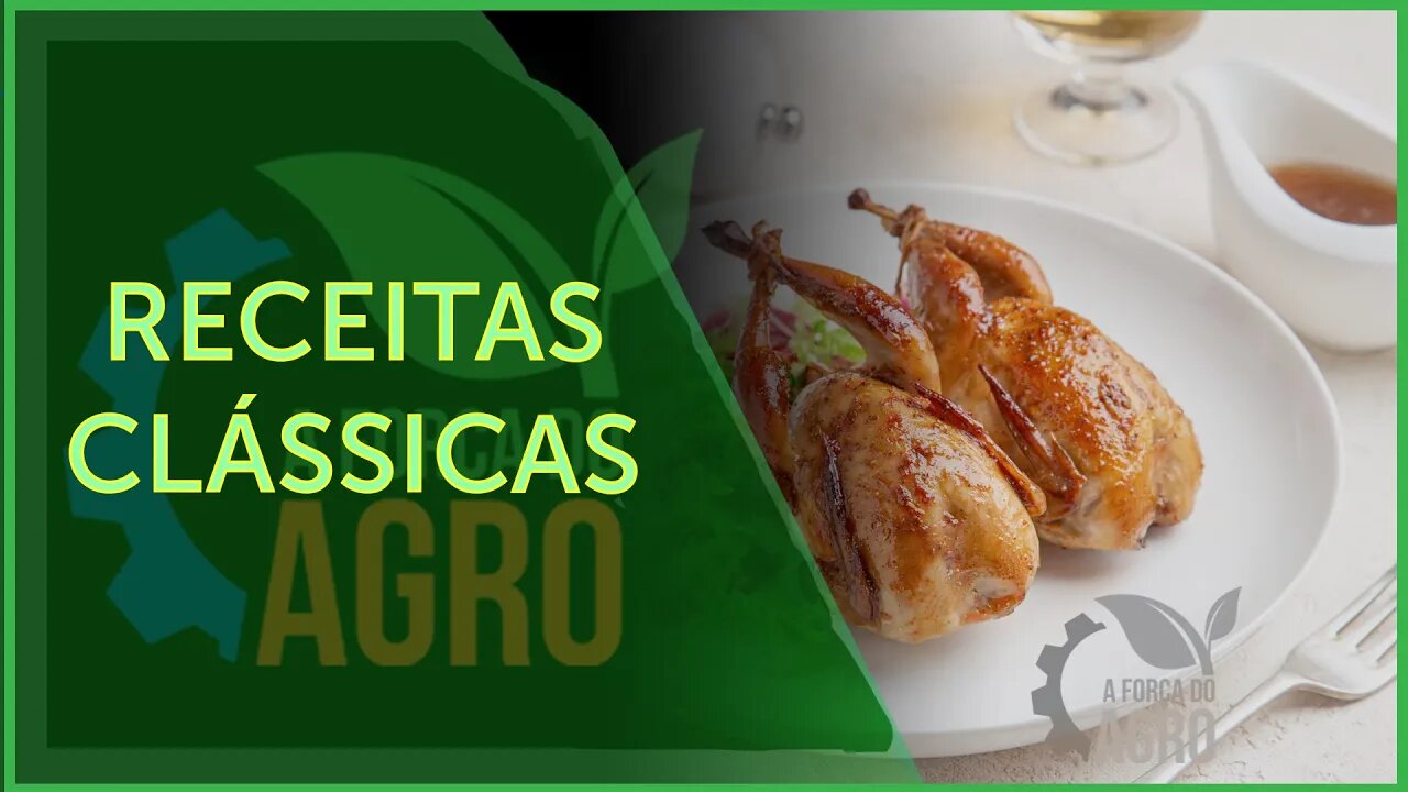 De pato a codorna, as aves essenciais no cardápio francês