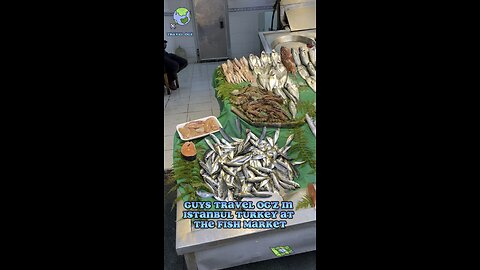 Istanbul Turkey fish market 2023