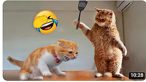 "Rolling in the Laughter: The Hilarious Rumble That Broke the Internet!"