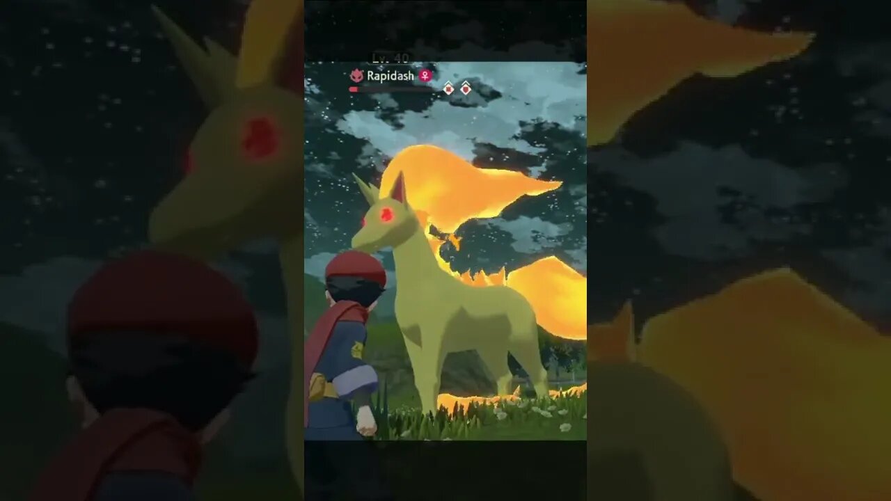 Alpha Rapidash