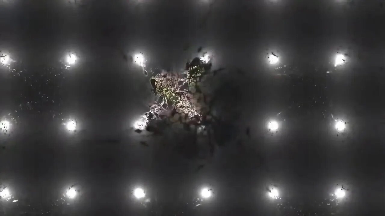 Utopia Vs the Lockdown: Infrastructure Climate Change Pirate Citizen 8/9/2021