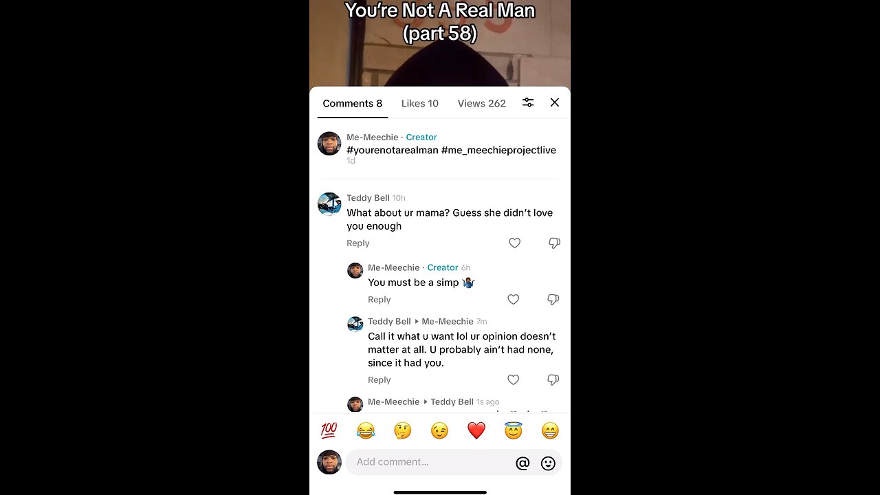 My Last TikTok Post/Comments