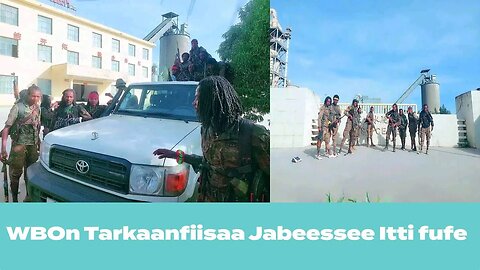 Haala Oromiyaa keessa jiru | Sochii WBO | Miidhama uummataa