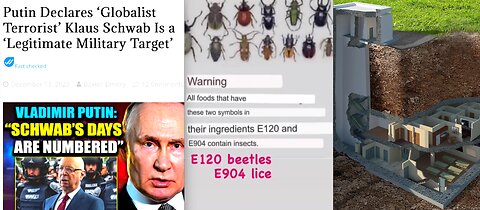 PUTIN DECLARES KLAUS SCHWAB & ELITES FAIR GAME?*BILLIONAIRES BUILDING BUNKERS*BUGS IN YOUR FOOD NOW?