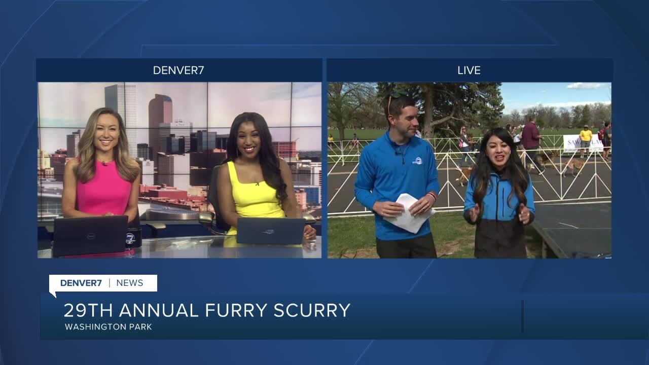 29th Furry Scurry Live Update at 9:36 AM