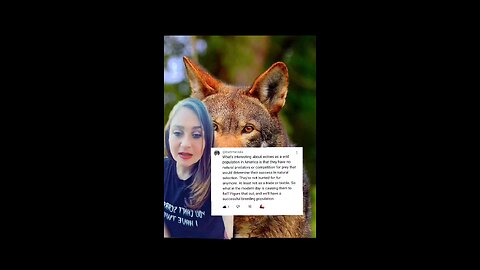 Red Wolves, What's up with the Decline?